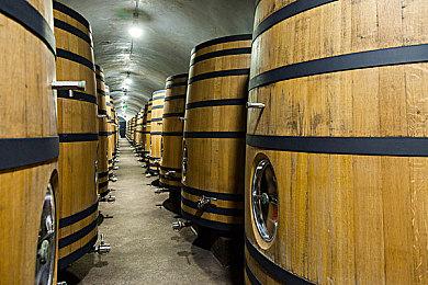 高血压双人合作游戏《面包和年糕》将于5月24日凌晨1点登陆PC